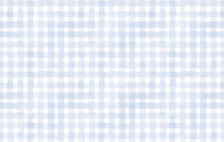 Print: Blue Gingham