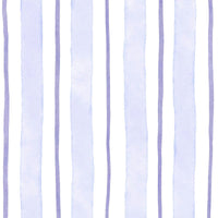 Blue Stripe Classic Footie